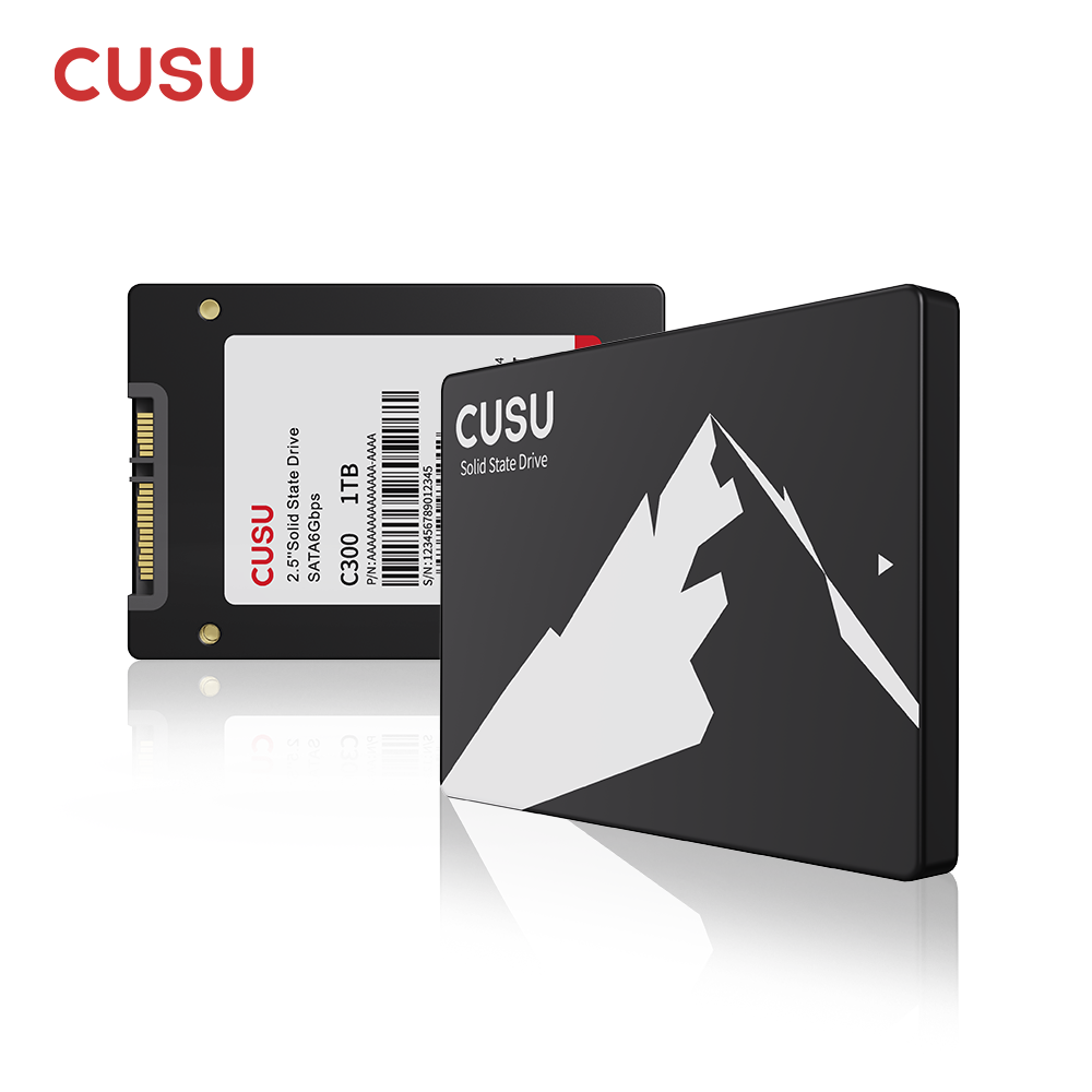 CUSU SSD 1 TB 512 GB 256 GB 12 – Ssd 500Gb Bewertung und Preis